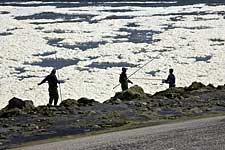 Fishermen in Gravelines